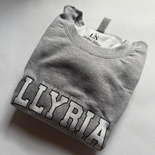 ILLYRIA Grey Large Sweatshirt