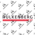 Hulkenberg - F1